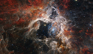 In this mosaic image stretching 340 light-years across, Webb’s Near-Infrared Camera (NIRCam) displays the Tarantula Nebula star-forming region in a new light, including tens of thousands of never-before-seen young stars that were previously shrouded in cosmic dust.