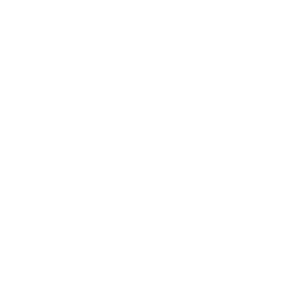 white sentar logo